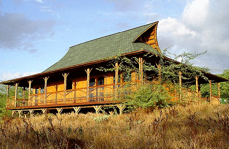 africa_afrique_forêt_forest_deforestation_sustainable__wood_bois_culture_agriculture_asia_asie_china_chine_india_inde_vietnam_laos_bali_development_architecture_house_moso_bambou_bamboo_bambu_bambusa_développement_durable_cop_21